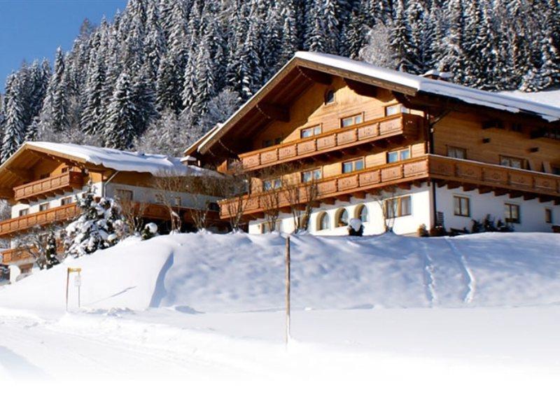Ferienhaus And Reiterhof Poettler Flachau Extérieur photo