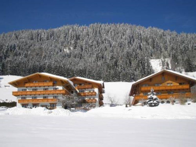 Ferienhaus And Reiterhof Poettler Flachau Extérieur photo